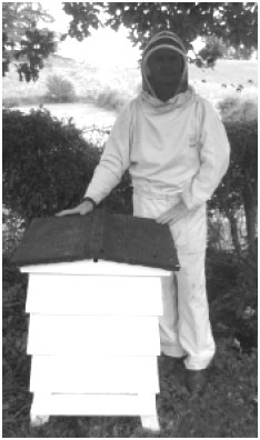 Phil Hulme &&nbsp;Hive
